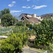 Les jardins familiaux du Chablais ont la cote